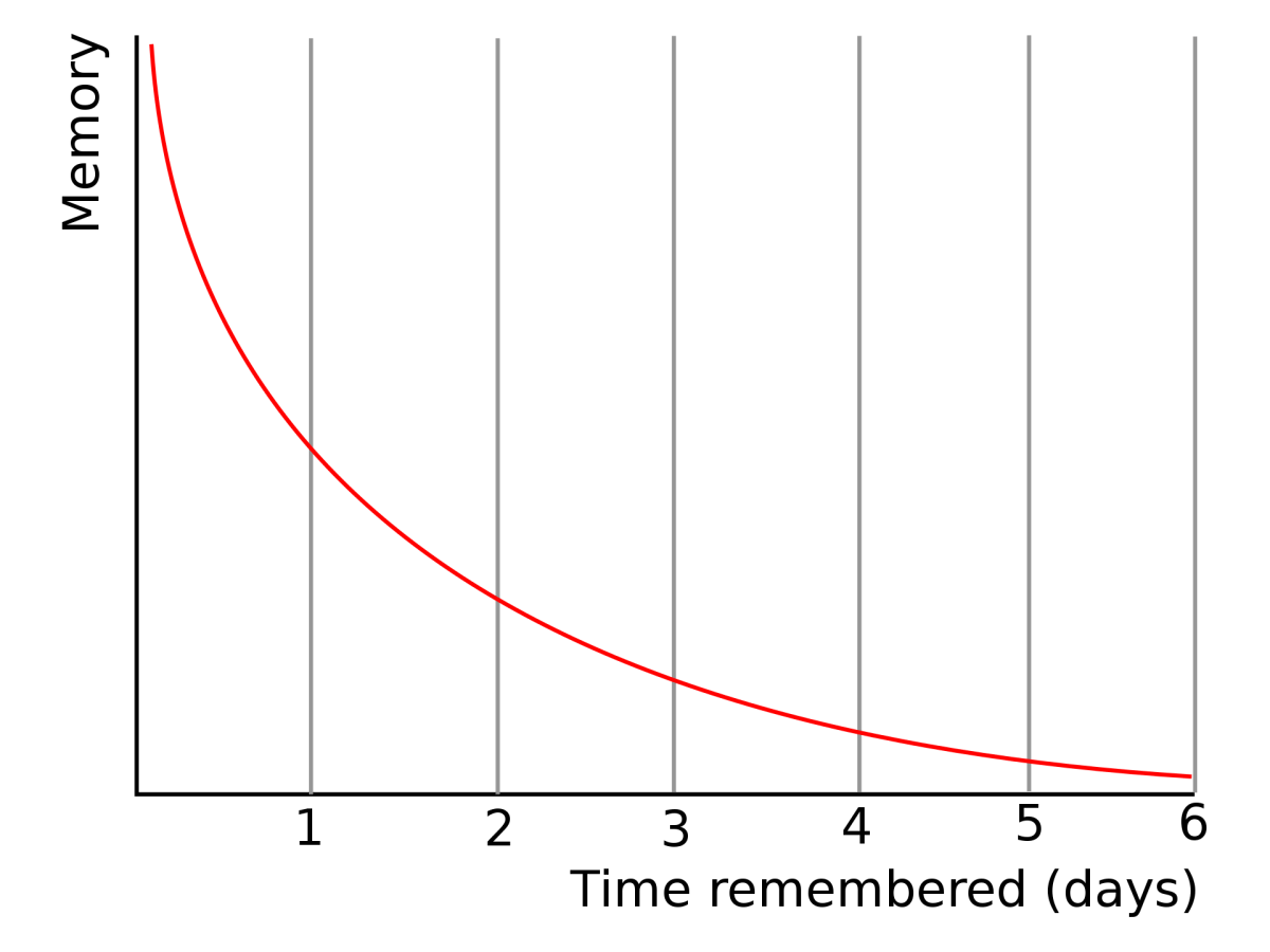 The Biology of Memory: How We Remember and Why We&nbsp;Forget