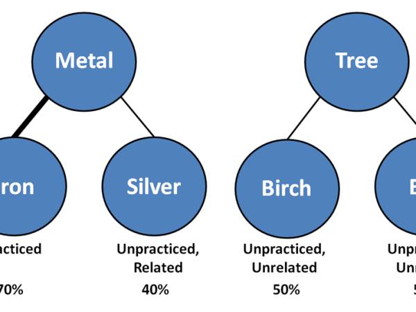 An Intro to Retrieval-Induced Forgetting
